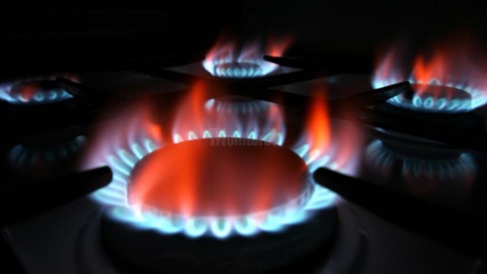 Delgaz Grid sistează luni alimentarea cu gaze naturale pentru mai mulți consumatori din municipiul Suceava. Foto realitatea.net Delgaz Grid sistează luni alimentarea cu gaze naturale pentru mai mulți consumatori din municipiul Suceava. Foto realitatea.net