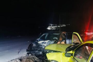 poiana stampei accident