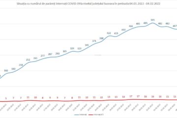 Graficul pacienților