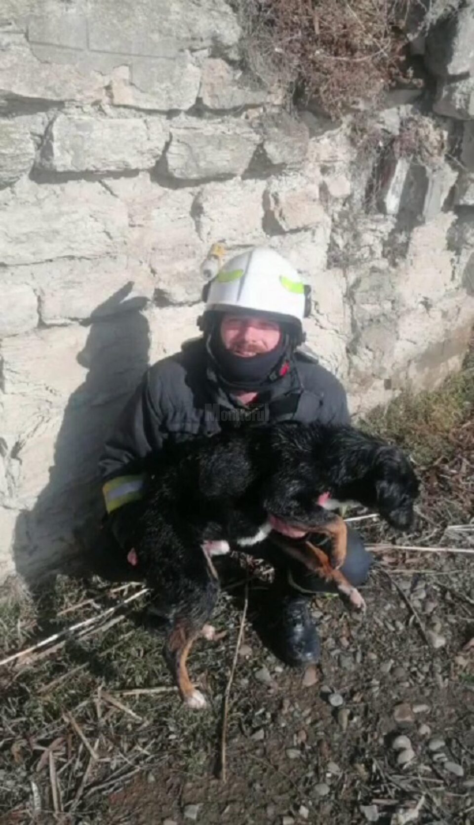 Cățelul și salvatorul său