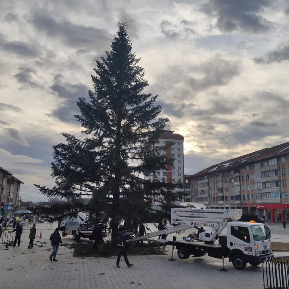 Bradul de Crăciun din centrul Sucevei a fost demontat și va fi folosit la încălzirea serelor cu flori