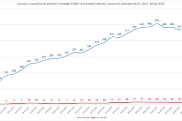 Graficul pacienților