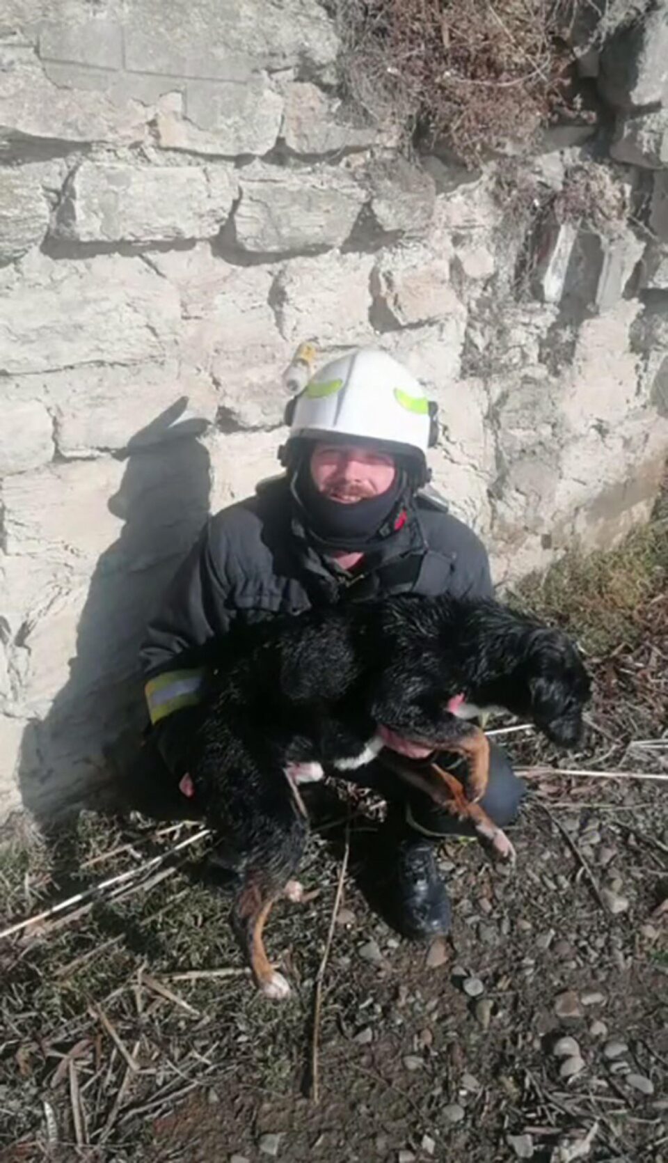 Cățelul și salvatorul său