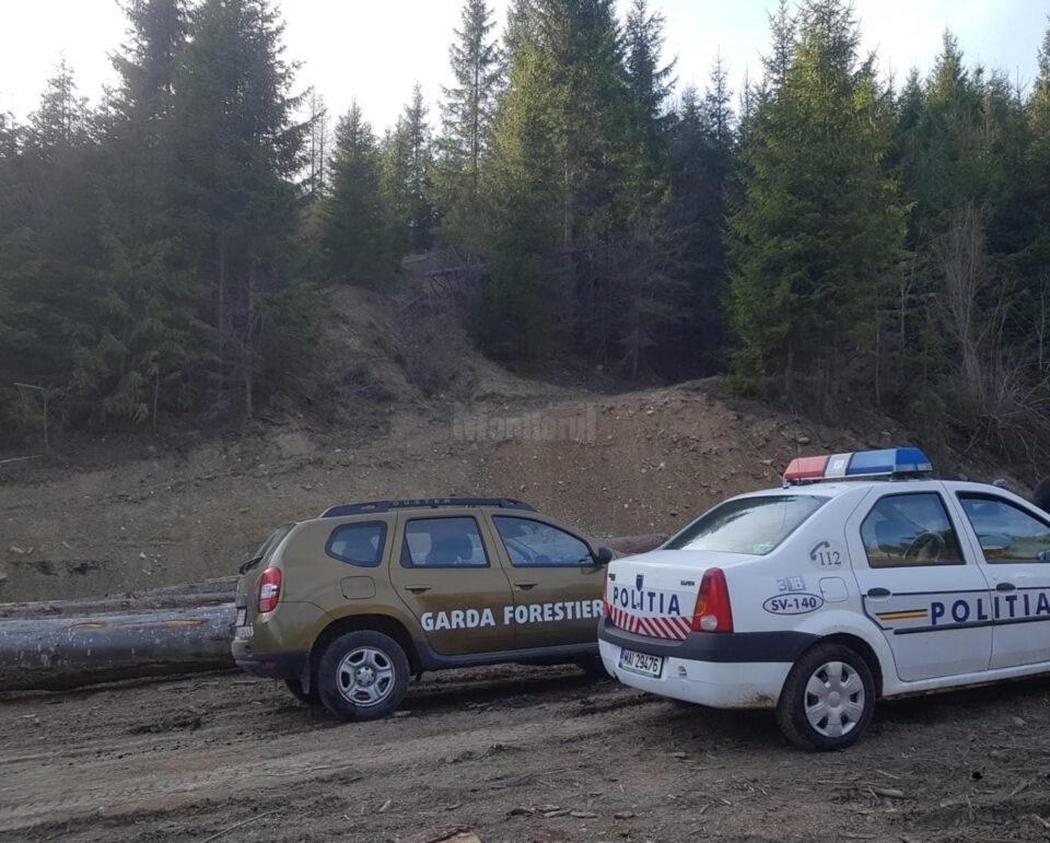 Camion de peste 35.000 de euro, încărcat cu cherestea de rășinoase, confiscat de Garda Forestieră Suceava