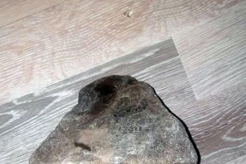 Bolovan ajuns în casa tinerei