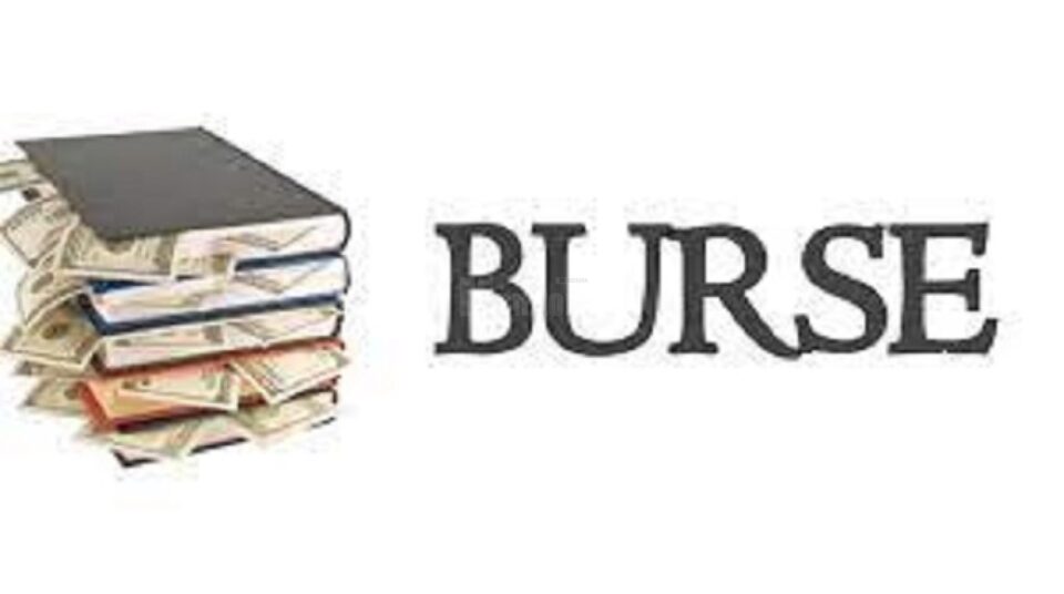 Criteriile de acordare a noilor burse școlare, care pornesc de la 150 lei și ajung la 500 lei Criteriile de acordare a noilor burse școlare, care pornesc de la 150 lei și ajung la 500 lei