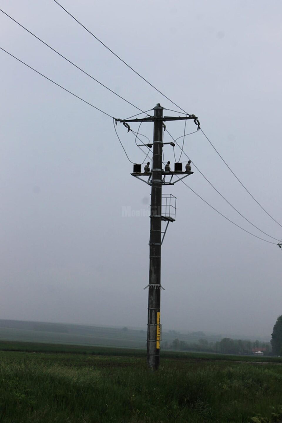 Sucevenii pot să anunțe întreruperile de energie electrică direct pe site-ul Delgaz Grid Sucevenii pot să anunțe întreruperile de energie electrică direct pe site-ul Delgaz Grid