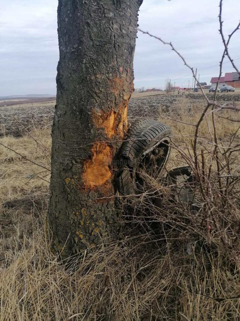 Doi adulți și doi copii la spital, după un impact între două mașini