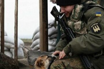 Ajutor și pentru adăpostirea animalelor care sunt aduse din Ucraina