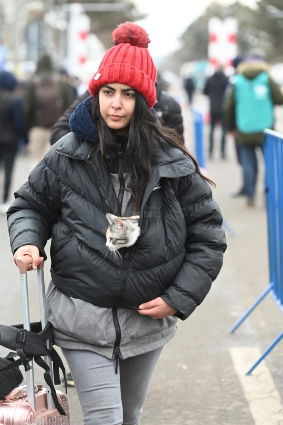 . O tânără nu s-a putut despărți de pisica de care s-a atașat, așa încât mica felină a fost adusă cale de câteva sute de kilometri