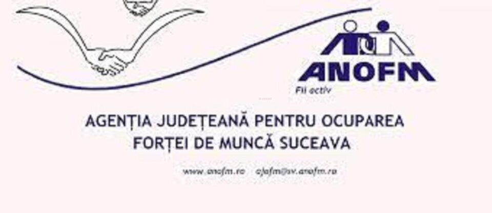 Angajatorii pot recruta ucraineni fără aviz de angajare o perioadă de 9 luni
