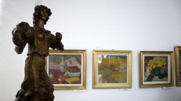 La Fălticeni, „Irimescu 119”