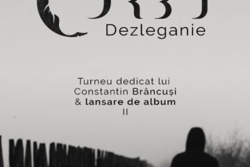 Dezleganie, la Câmpulung Moldovenesc