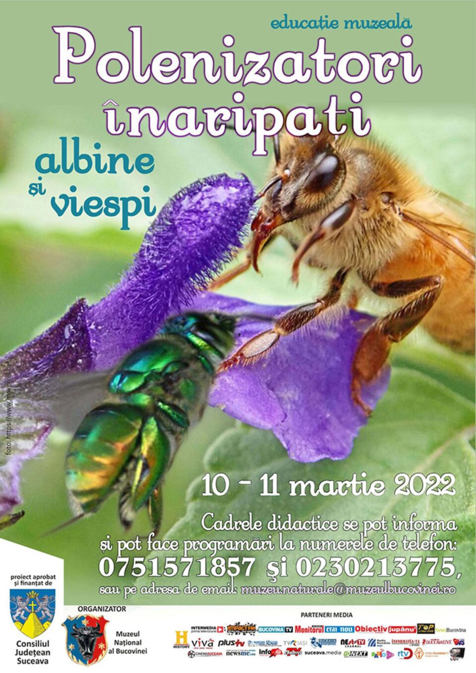 Lecția de muzeu Polenizatori înaripați – albine și viespi, la Muzeul de Științele Naturii Lecția de muzeu Polenizatori înaripați – albine și viespi, la Muzeul de Științele Naturii
