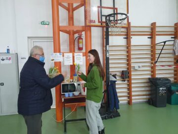 Mii de lalele galbene oferite doamnelor și domnișoarelor de primarul Sucevei, Ion Lungu