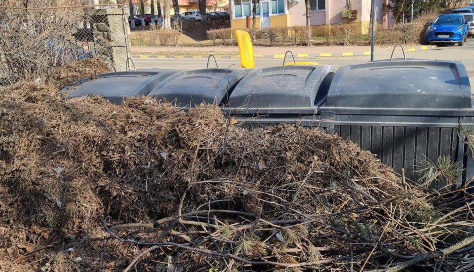 Depozitarea deșeurilor vegetale (frunze, crengi, iarbă) se face în apropierea punctelor de colectare, pe spațiul verde, în zona de acces auto
