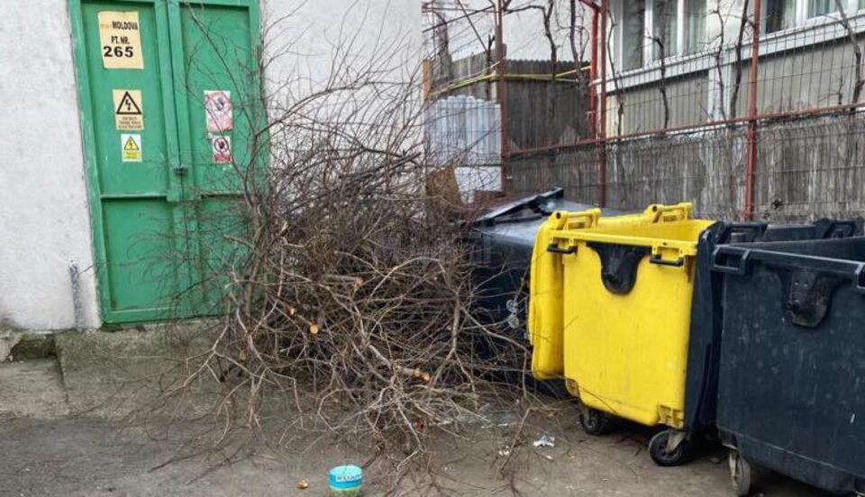 Depozitarea deșeurilor vegetale (frunze, crengi, iarbă) se face în apropierea punctelor de colectare, pe spațiul verde, în zona de acces auto
