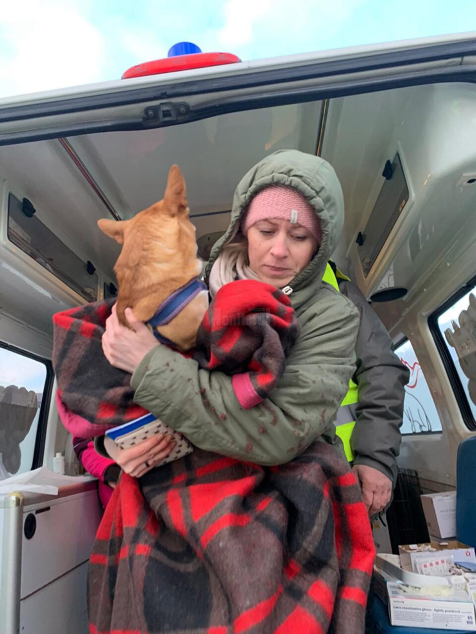 Veterinarii au și ei treabă în Vama Siret – 3.000 de animale de companie au intrat cu refugiații