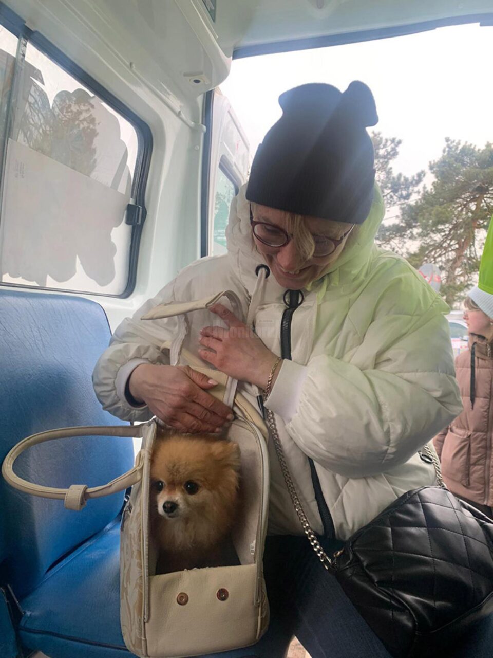Veterinarii au și ei treabă în Vama Siret – 3.000 de animale de companie au intrat cu refugiații