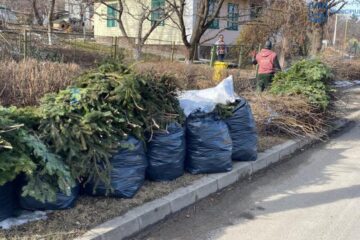 Depozitarea deșeurilor vegetale (frunze, crengi, iarbă) se face în apropierea punctelor de colectare, pe spațiul verde, în zona de acces auto