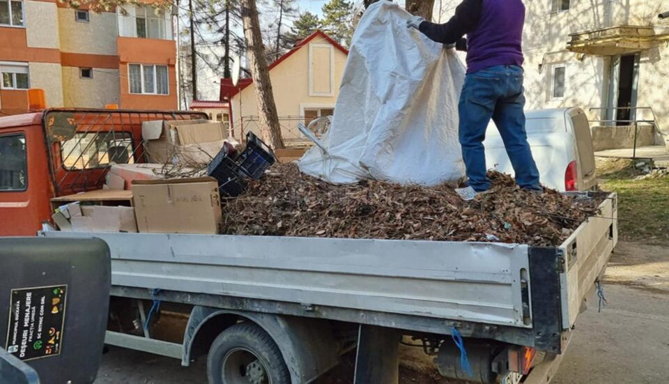 Depozitarea deșeurilor vegetale (frunze, crengi, iarbă) se face în apropierea punctelor de colectare, pe spațiul verde, în zona de acces auto