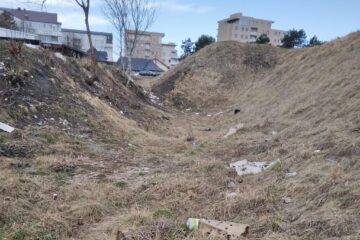 Asociația Nes Designer Cultural invită cât mai mulți suceveni la Campania „Voluntar pentru Suceava. Acțiune de Ecologizare!”