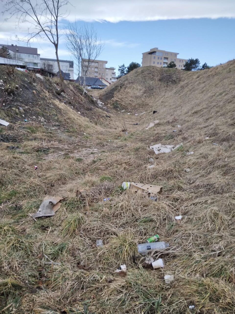 Asociația Nes Designer Cultural invită cât mai mulți suceveni la Campania „Voluntar pentru Suceava. Acțiune de Ecologizare!”