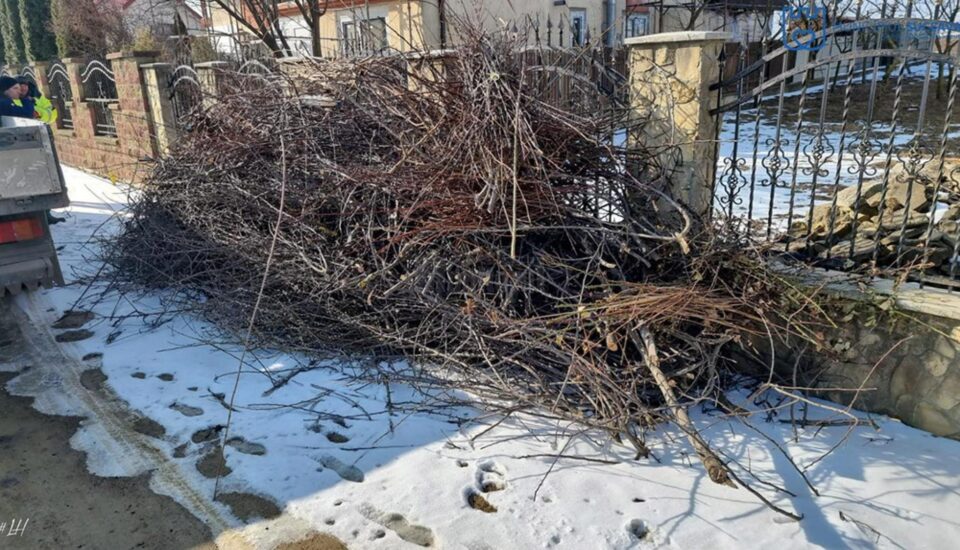 Program de colectare gratuită a deșeurilor vegetale, la case și în cartierele de blocuri