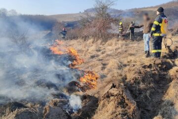 Incendiu de vegetație