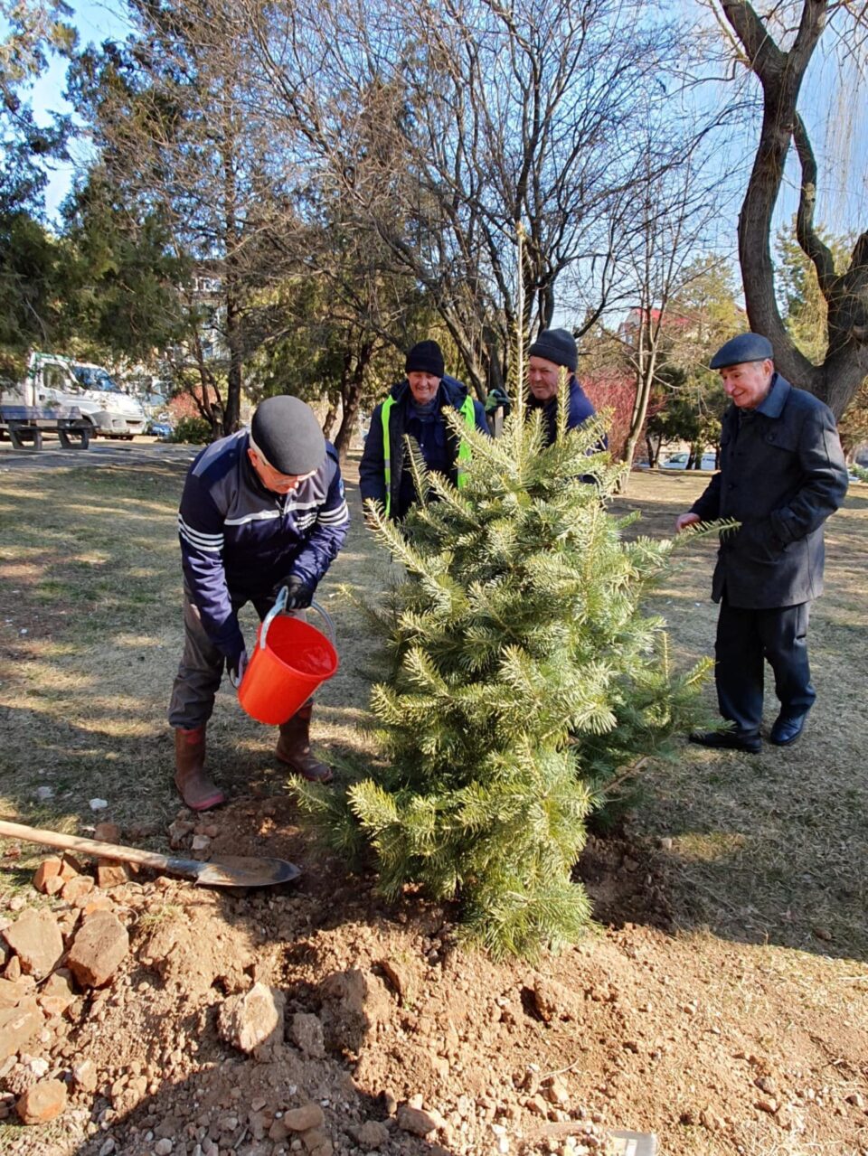 primarul Sucevei, Ion Lungu, care a participat la debutul campaniei de plantare de primăvară