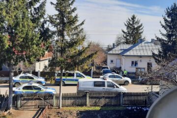 Desfășurarea de forțe de la Stroiești