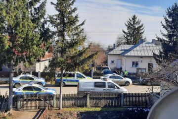 Desfășurarea de forțe de la Stoiești