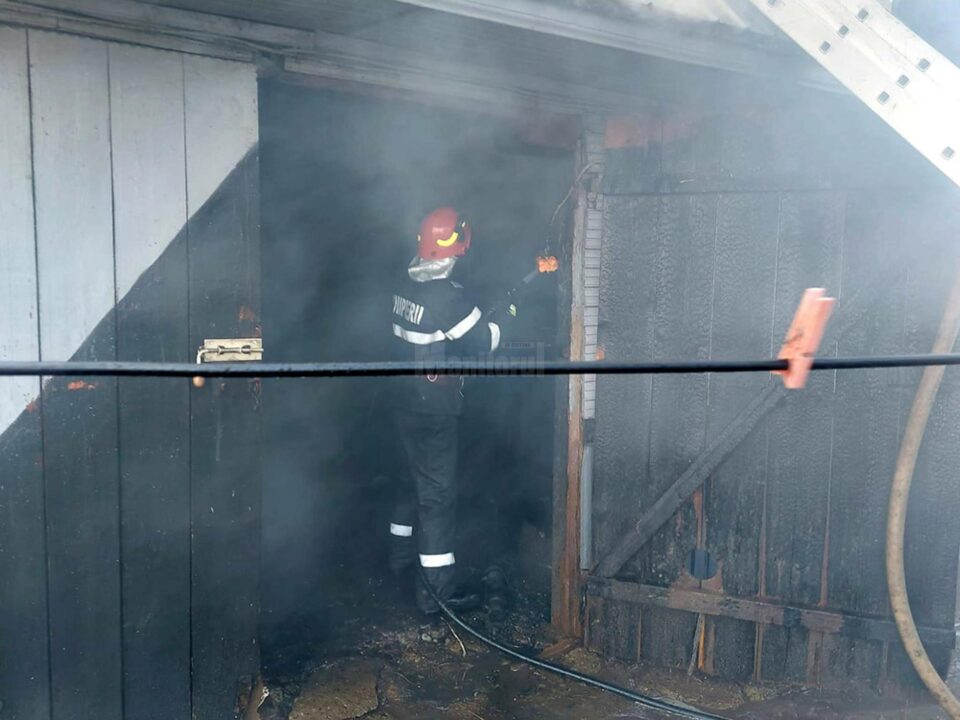 Incendiu de vegetație extins la un adăpost de animale. Pompierii au reușit să salveze casa