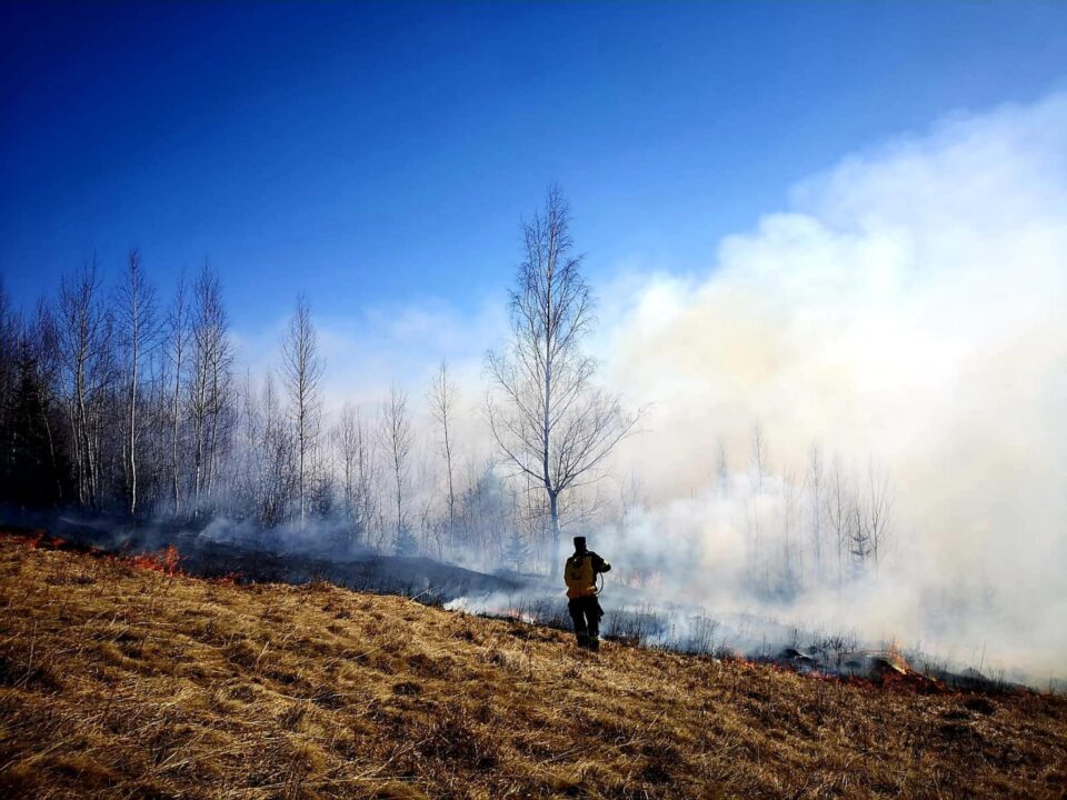 Incendiile de vegetație, o problemă în aceste zile