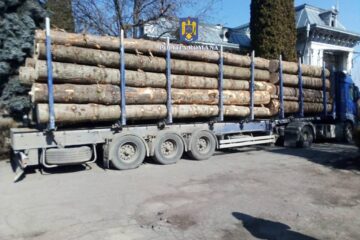 Autotrenul evaluat la 70.000 de euro a fost indisponibilizat și sigilat de polițiști