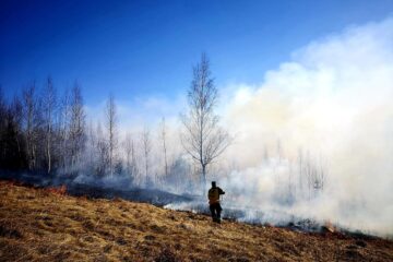 Incendiile de vegetație, o mare problemă în aceste zile
