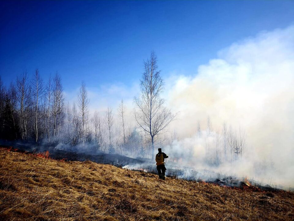 Incendiile de vegetație, o mare problemă în aceste zile