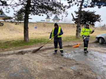 Parcul Șipote și Păduricea Zamca au fost igienizate printr-o acțiune organizată de Primăria Suceava