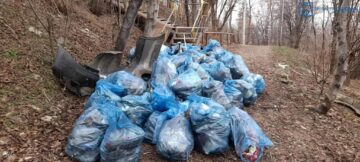 Parcul Șipote și Păduricea Zamca au fost igienizate printr-o acțiune organizată de Primăria Suceava
