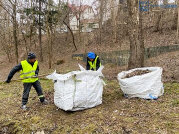 Parcul Șipote și Păduricea Zamca au fost igienizate printr-o acțiune organizată de Primăria Suceava