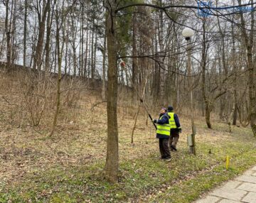 Parcul Șipote și Păduricea Zamca au fost igienizate printr-o acțiune organizată de Primăria Suceava