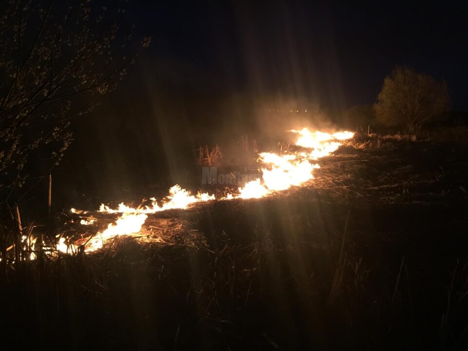incendiu vegetatie uscata