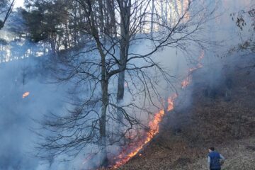 O lizieră de pădure din apropierea râului Siret a luat foc sâmbătă după-amiază