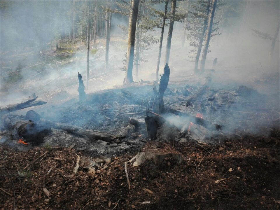 De la începutul anului, în fondul forestier de stat administrat de RNP s-au înregistrat 281 de incendii De la începutul anului, în fondul forestier de stat administrat de RNP s-au înregistrat 281 de incendii