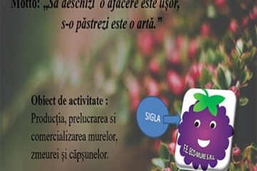 „Firma de exercițiu”, un exercițiu eficient pentru acces în lumea afacerilor