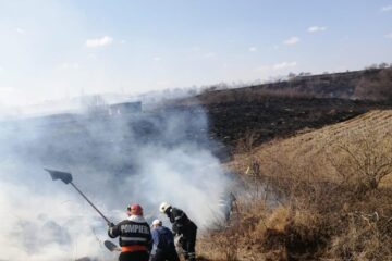 Încă 20 de incendii de vegetație uscată în doar o zi