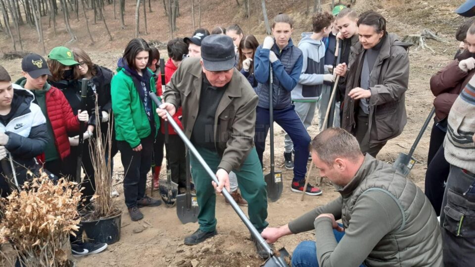 Elevi de la Școala Gimnazială nr. 4 Suceava, voluntari ai proiectului „Salvați pădurea!”
