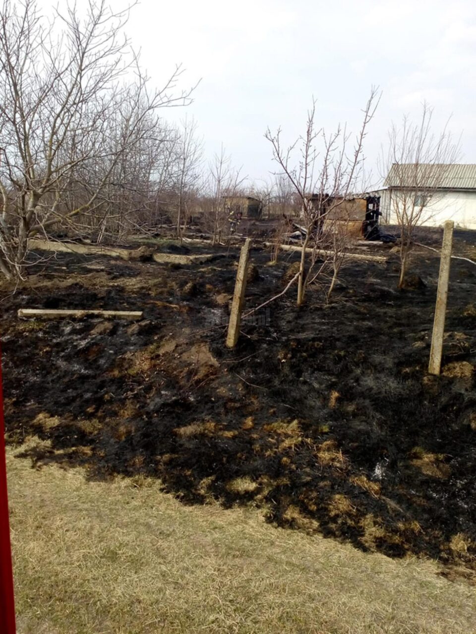 Un incendiu de vegetație s-a extins la o anexă și a pus în pericol o casă