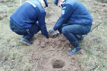 În fiecare an, pe data de 3 aprilie este sărbătorită Ziua Jandarmeriei Române