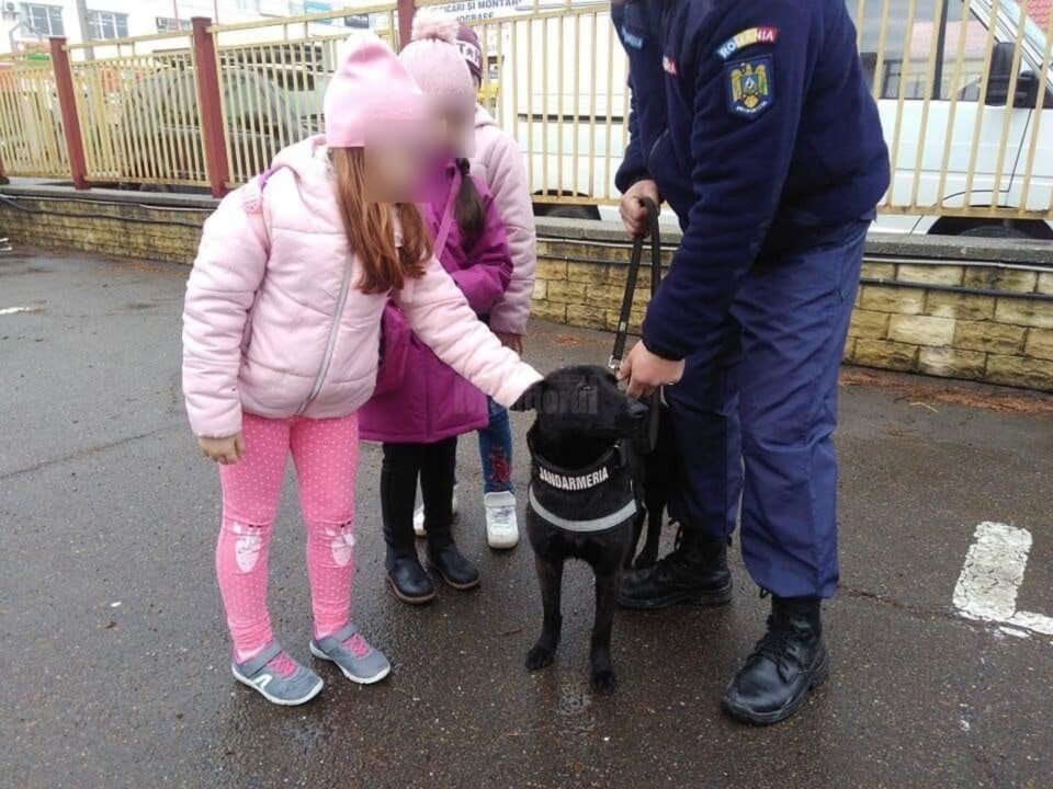 În fiecare an, pe data de 3 aprilie este sărbătorită Ziua Jandarmeriei Române